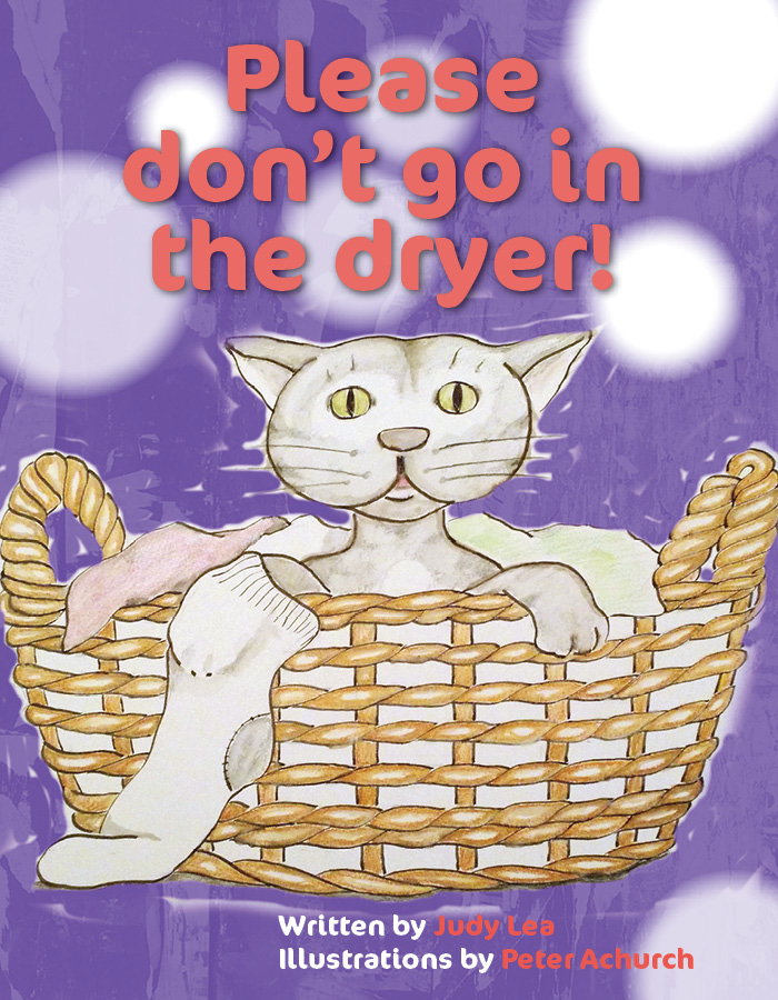 Dont-Go-Dryer-Cover-Option1